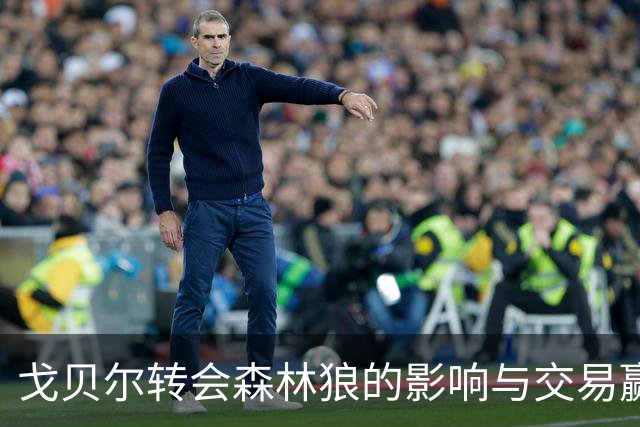 戈贝尔转会森林狼的影响与交易赢家分析